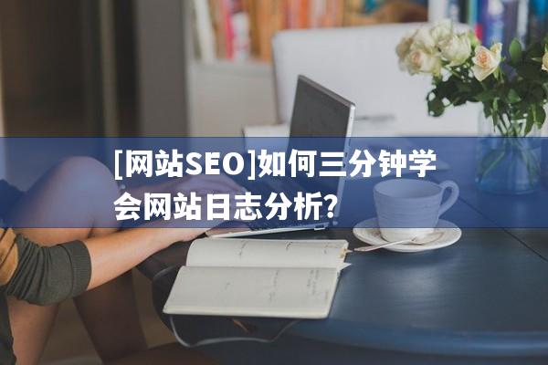 [网站SEO]如何三分钟学会网站日志分析？