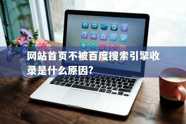 网站首页不被百度搜索引擎收录是什么原因?