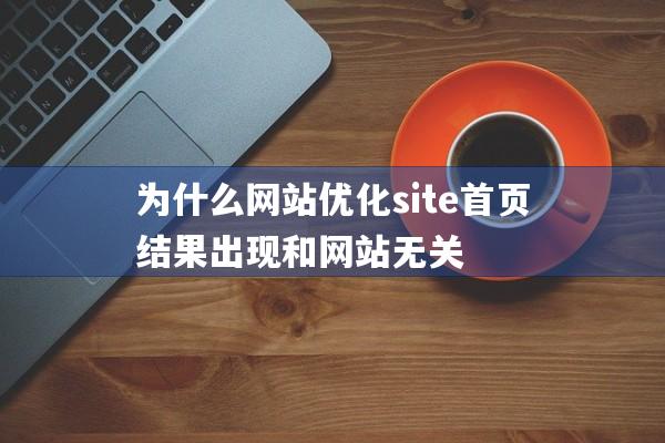 为什么网站优化site首页结果出现和网站无关